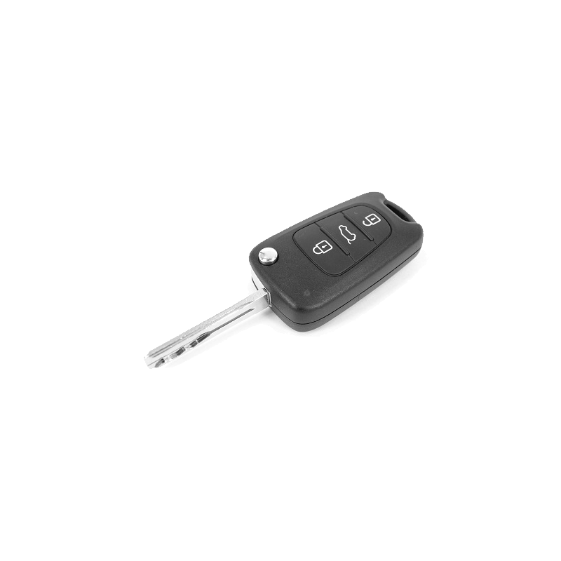 Vehicle & Transponder Keys